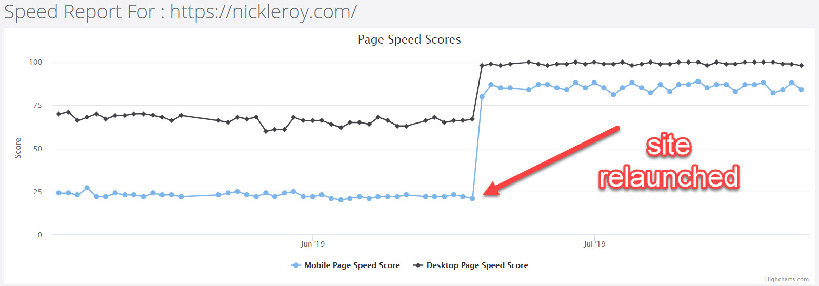 how-we-achieved-a-google-page-speed-score-of-100-with-wordpress-nick